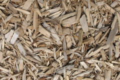 biomass boilers Rhiwlas