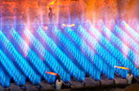 Rhiwlas gas fired boilers